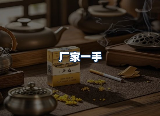 专业团队办公环境